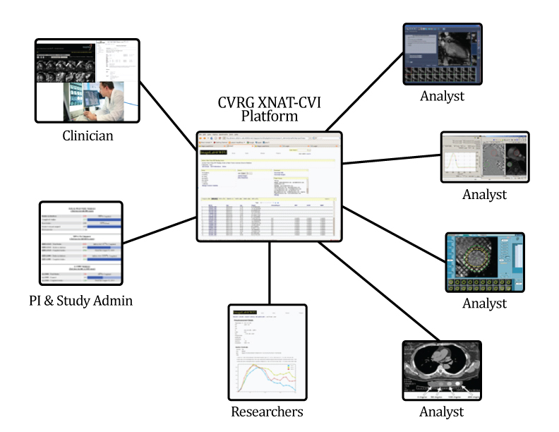 XNAT-CVI user workflow diagram